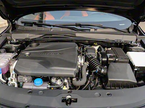 2023�� 1.5T �˶���