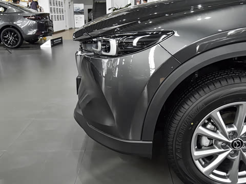 2025�� 2.0L �Զ�����������