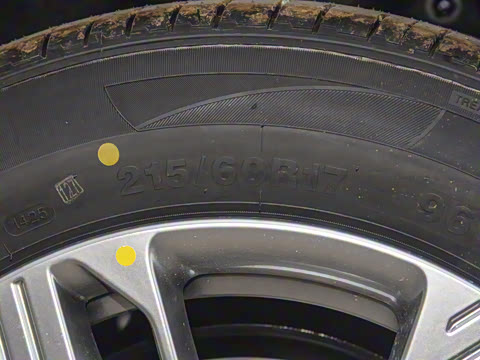 2025�� 565km ������