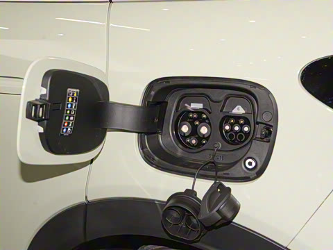 2026�� �鶯������