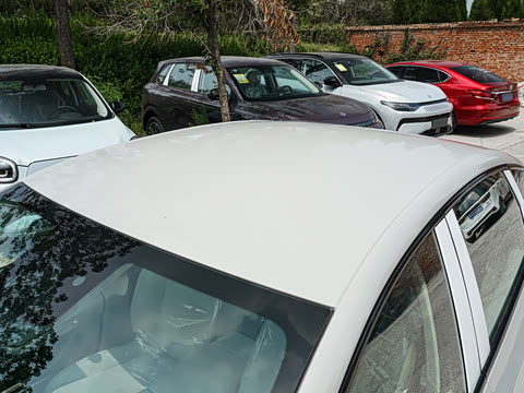 2025�� 550������