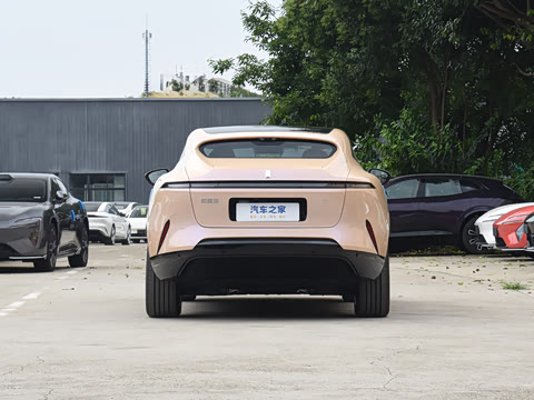 2025�� Max �����