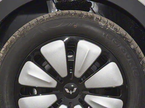 2025�� 333km ������