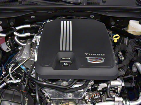 2025�� 28T �����˶���