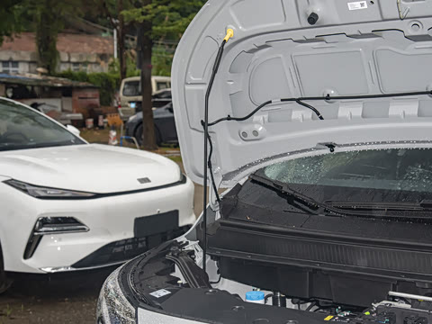 2025�� Plus 510 ������