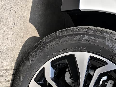 2019�� ������������