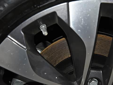 2019�� Ԧ����