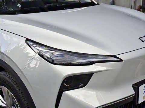 2025�� 445km ��ѡ��