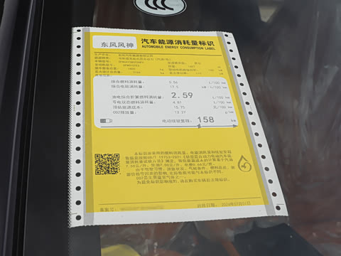 2025�� 205��������������