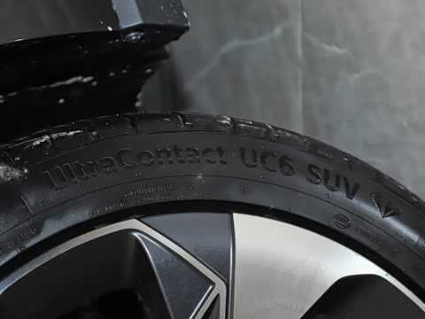 2020�� 80 �����Ƽ���