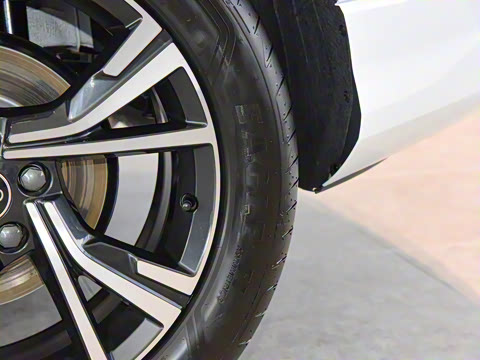 2023�� �Ŀ� 40 TFSI ʱ����