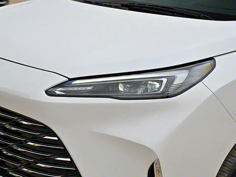 2025�� ½�� ������ 7��