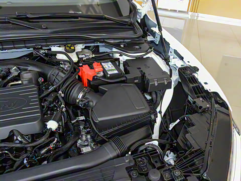 2022�� EcoBoost 245 �˶���