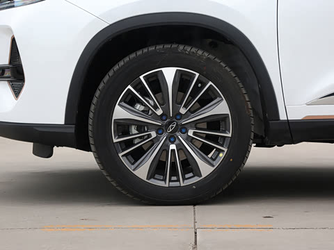 2024�� �ھ��� 390T �����۷�� 5��