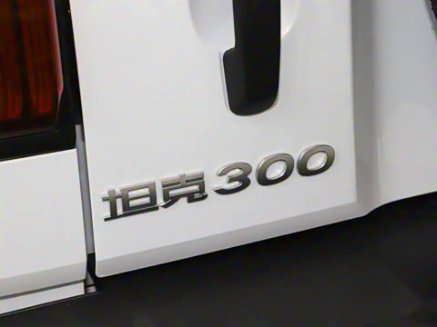 2025�� 2.0T ��ս��