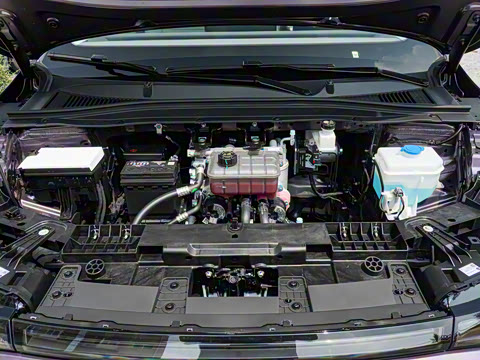 2025�� 550������