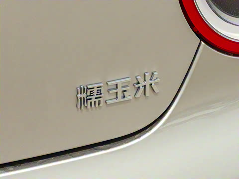 2025�� 205km ���߿�