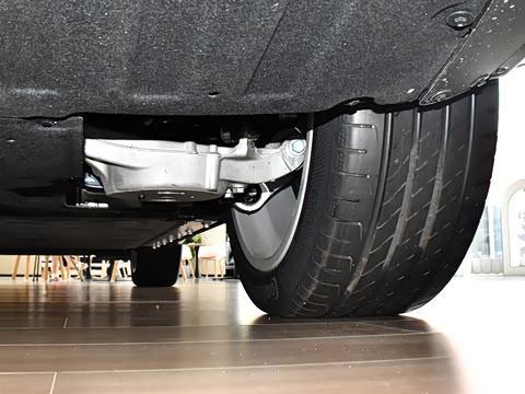 2025�� 636Max���Ȱ� 6��