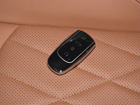 2022�� 290TGDI DCT������