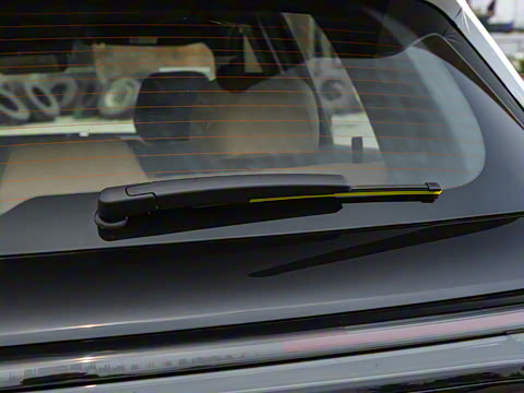 2025�� 55km ������