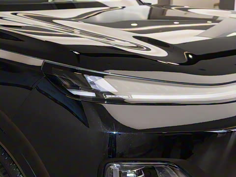 2025�� ����Ultra+