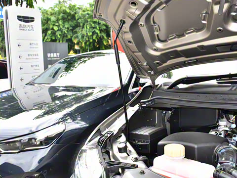 2025�� 110km���� ������7��