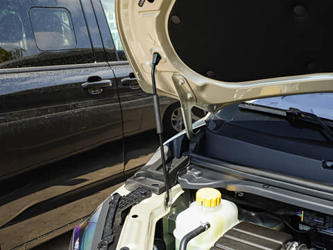 2025�� 2.0L �ֶ���������� 7��