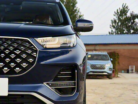 2021�� 290TGDI DCT������