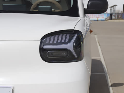 2025�� Pro 201km ���ư�