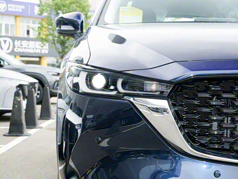 2025�� 2.0L �Զ�����������