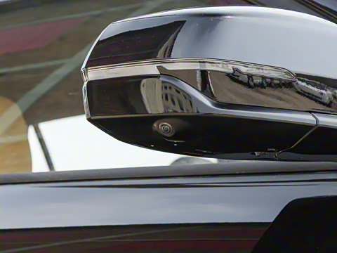 2025�� 55km ������