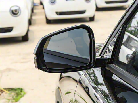 2025�� 55km ������