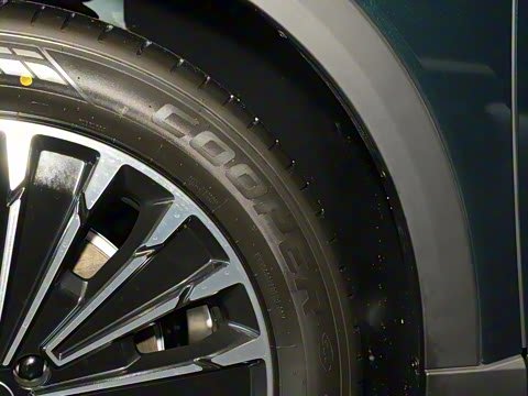 2025�� ��Խ��Pro