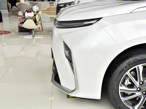 2024�� �Ŀ� ���� ��������ɭ�ְ� ����