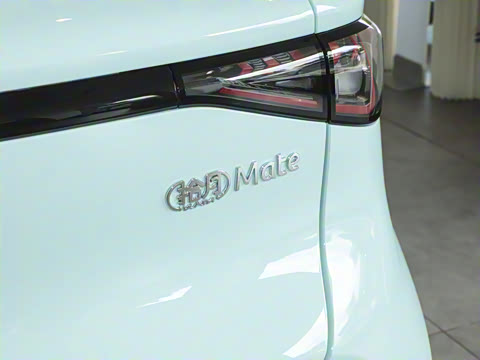 2026�� Mate 305km ����̤�˰�