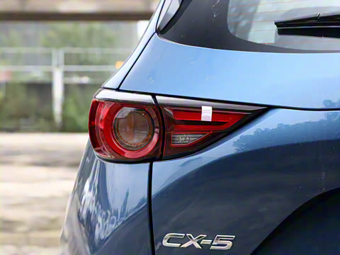 2020�� �Ŀ� 2.0L �Զ������ǻ���