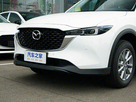 2025�� 2.0L �Զ�����������