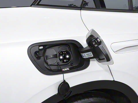 2025�� ������������ʿPRO��