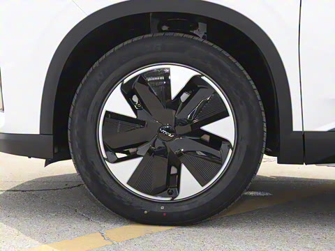 2025�� 205��������������