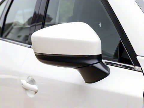 2020�� �Ŀ� 2.0L �Զ�����������