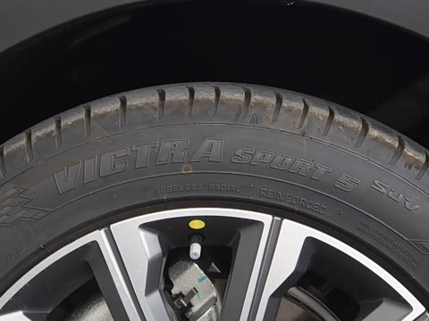 2025�� 120 �������������� 5�� �������