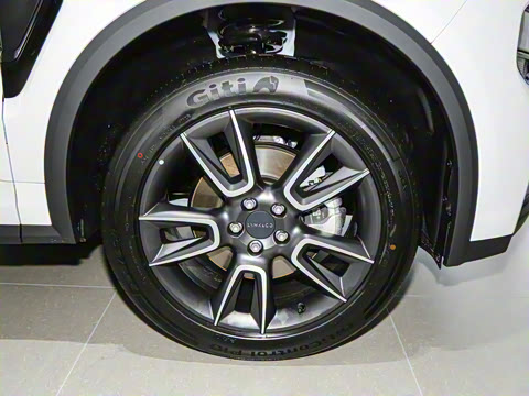 2025�� 2.0TD ��������Pro��