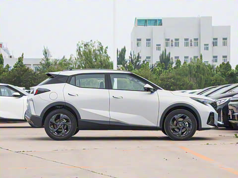 2025�� Ӱ�� 270T ������ ƽ������