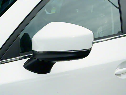 2025�� 2.0L �Զ�����������