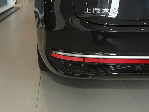 2025�� Pro 300TSI ��ҫ��