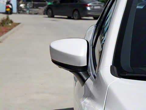 2020�� 2.5L ��������