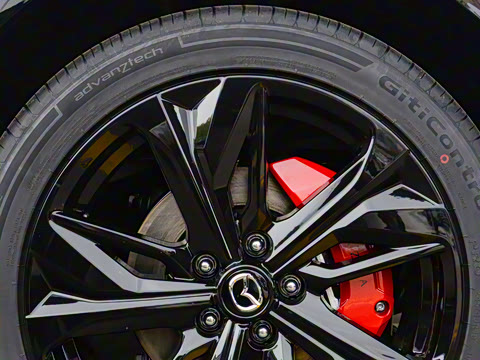 2025�� ����200�����˶���