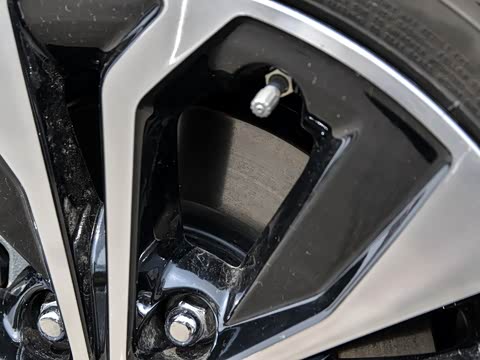 2019�� ������������