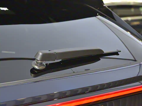 2023�� ������������