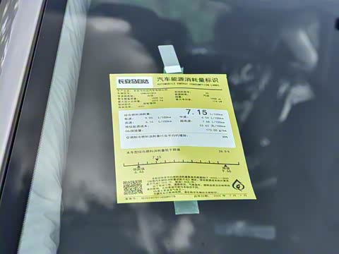 2025�� 2.0L �Զ���������Pro